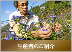 生産者のご紹介